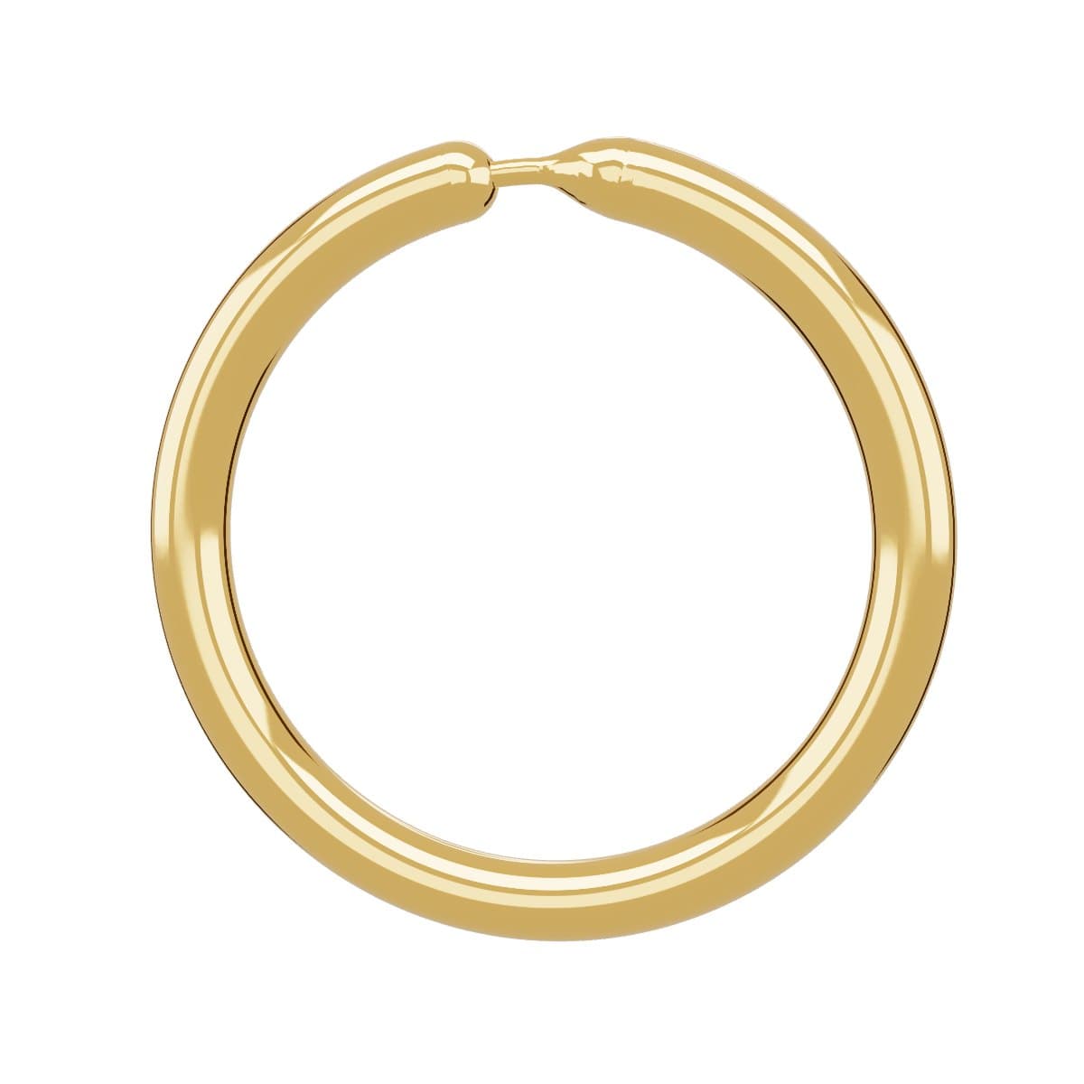 Hoop earrings 3D model